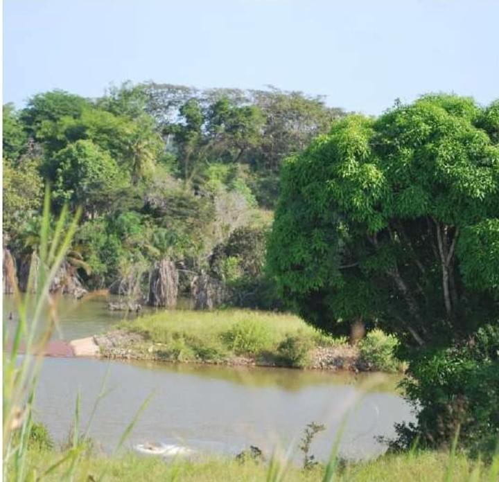 Environmental assessment